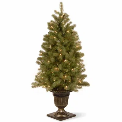 National Tree Co . Downswept Douglas Fir 4 Foot Pre-lit Fir Christmas Tree In Green