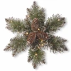 National Tree Co . Glittery Bristle Pine Christmas Yard Art In Green