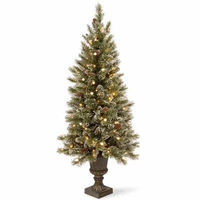 National Tree Co . Glittery Bristle Pine Entrance 4 Foot Pre-lit Flocked Pine Christmas Tree In Green