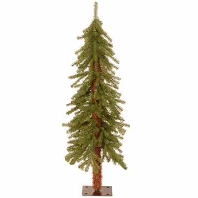 National Tree Co . Hickory Cedar 4 Foot Cedar Christmas Tree In Green