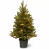 National Tree Co . Jersey Frasier Fir Entrance Potted 3 Foot Pre-lit Fir Christmas Tree In Green