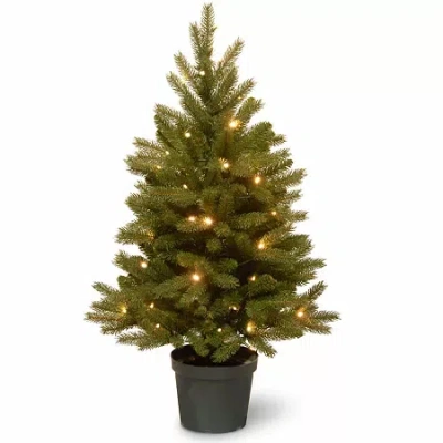 National Tree Co . Jersey Frasier Fir Entrance Potted 3 Foot Pre-lit Fir Christmas Tree In Green