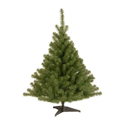 National Tree Co . Kincaid Spruce 4 Foot Spruce Christmas Tree In Green