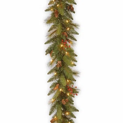 National Tree Co . Long Needle Pine Cone Christmas Indoor Outdoor Garland In Green