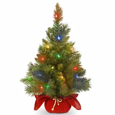 National Tree Co . Majestic Spruce 2 Foot Pre-lit Spruce Christmas Tree In Green