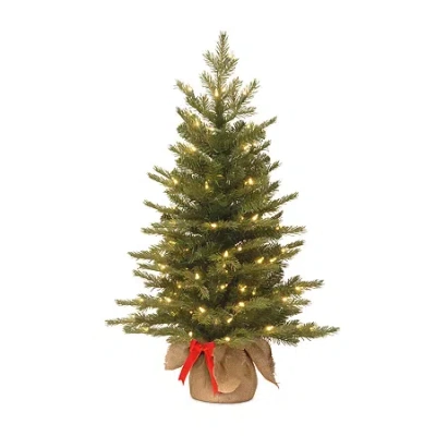 National Tree Co . Nordic Spruce 3 Foot Pre-lit Spruce Christmas Tree In Green