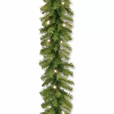 National Tree Co . Norwood Fir Christmas Indoor Outdoor Garland In Green