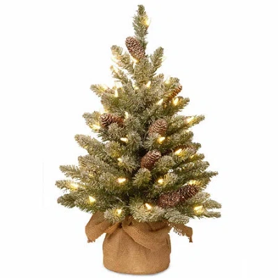 National Tree Co . Snowy Concolor Burlap 2 Foot Pre-lit Fir Christmas Tree In Green