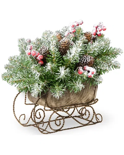 National Tree Company 10in Dunhill Fir Sleigh With Snow In Multi