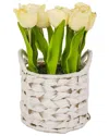 National Tree Company 10in Light Yellow Tulip Bouquet In White Basket In Yellow