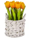 National Tree Company 10in Orange Tulip Bouquet In White Basket In Orange