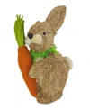 NATIONAL TREE COMPANY 12" EASTER BUNNY WITH CARROT