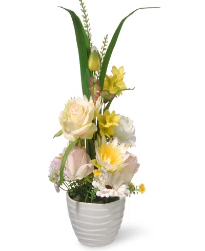 National Tree Company 17 Potted Daisy Rose Flowers In White