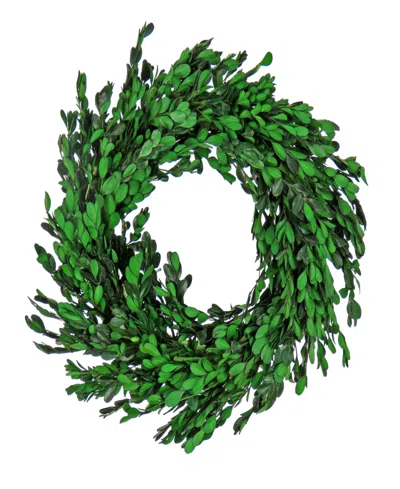National Tree Company 18 Spring Boxwood Wreath In Green