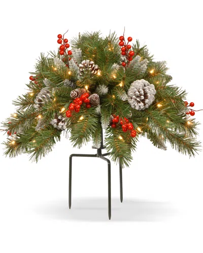 National Tree Company 18in Frosted Berry Urn Filler With 35 Warm White Battery Operated Led Lights W