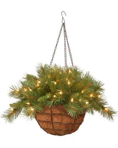 National Tree Company 20 Tiffany Fir Hanging Basket