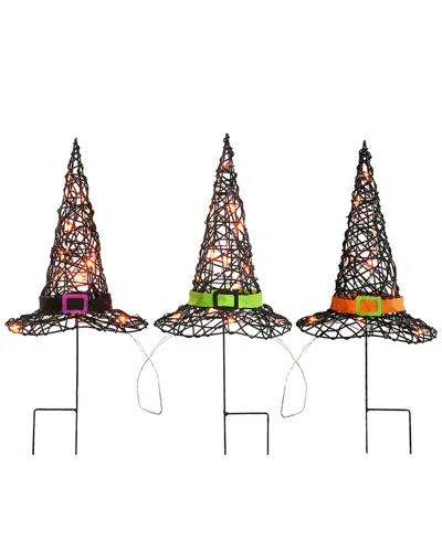National Tree Company 23in Pre-lit Black Witchs Hat Garden Stakes In Multi