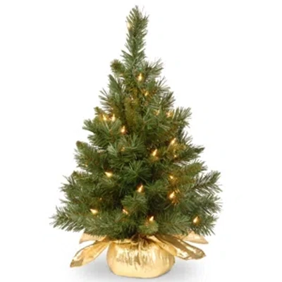 National Tree Company 24" Majestic Fir Tree In Gold Cloth Bag With 35 Clear Lights In Green