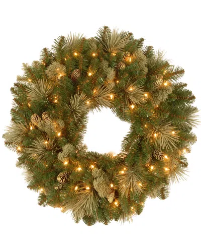 National Tree Company 24in Carolina Pine Wreath With 50 Battery Operated Led Lights In Multi