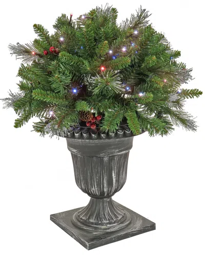 National Tree Company 24in Crestwood Spruce Porch Bush With Twinkly Lights In Green