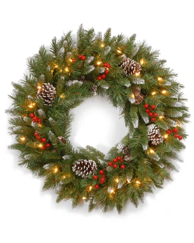 National Tree Company 24in Frosted Berry Wreath With 50 Clear Lights In Green