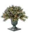 National Tree Company 24in Glittery Bristle Pine Porch Bush With Twinkle Led Lights In Green