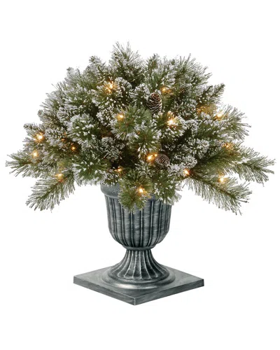 National Tree Company 24in Glittery Bristle Pine Porch Bush With Twinkle Led Lights In Green