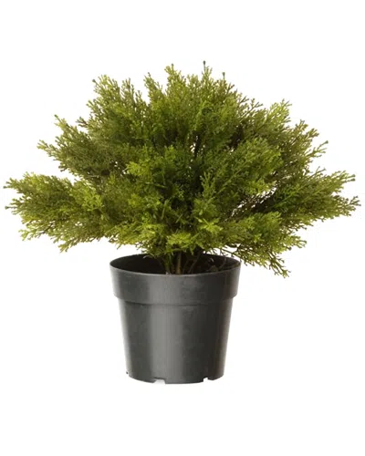National Tree Company 24in Globe Juniper