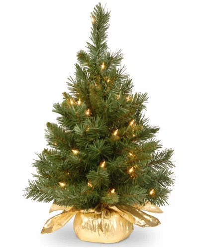 National Tree Company 24in Majestic Fir Tree In Gold Cloth Bag With 35 Clear Lights In Green