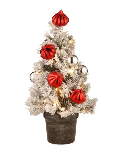 National Tree Company 24in Snowy Bristle Pine Tabletop Tree In Multi