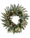 National Tree Company 24in Snowy Morgan Spruce Wreath With Twinkly Led Lights In Green