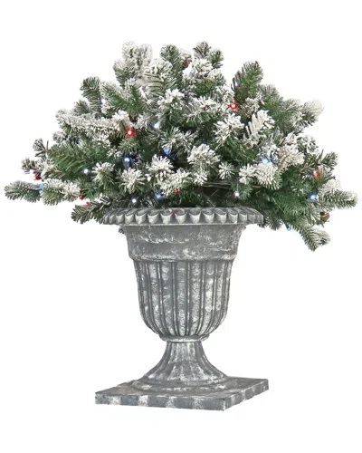 National Tree Company 24in Snowy Sheffield Spruce Porch Bush With Twinkly Led Lights In Green