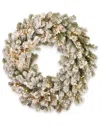National Tree Company 24in Snowy Sheffield Spruce Wreath With Twinkly Led Lights In Green