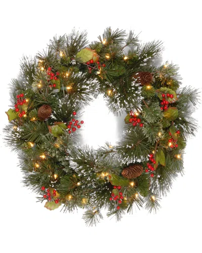 National Tree Company 24in Wintry Pine Wreath With Battery Operated Warm White Led Lights