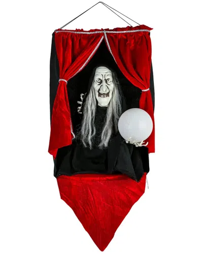National Tree Company 28in Animated Halloween Fortune Teller Sound Activated Decor In Red