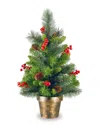 National Tree Company 2ft Crestwood Spruce Tree