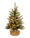 National Tree Company 2ft Dunhill Fir Small Tree With Led Lights