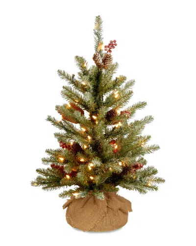 National Tree Company 2ft Dunhill Fir Small Tree With Led Lights