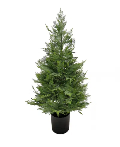 National Tree Company 3 Ft. Cypress Tree In Nursery Pot In Green