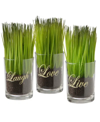 National Tree Company 3-piece Sprout-filled Glass Assortment In Green