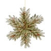 National Tree Company 32" Snowy Dunhill Fir Double Sided Snowflake With Cones, Red Berries & 100 Warm White Battery Operat In Green
