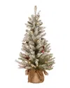 National Tree Company 3ft Dunhill Fir Small Tree