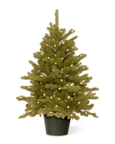 National Tree Company 3ft Feel-real Hampton Spruce Small Wrapped Tree In Growers Pot With 100 Clear Lights In Green