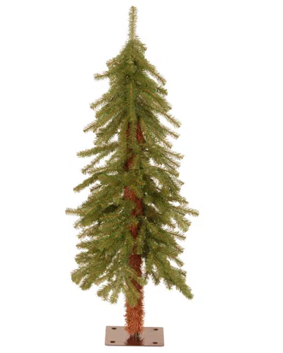 National Tree Company 3ft Hickory Cedar Tree In Green