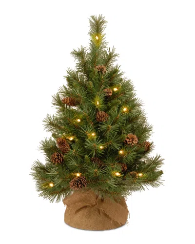 National Tree Company 3ft Pine Cone Burlap Tree With 35 Warm White Battery Operated Led Lights W/tim