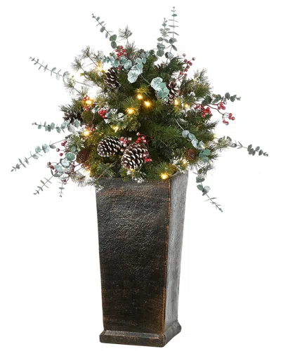 National Tree Company 3ft Potted Meadow Basin Tree With Led Lights In Green