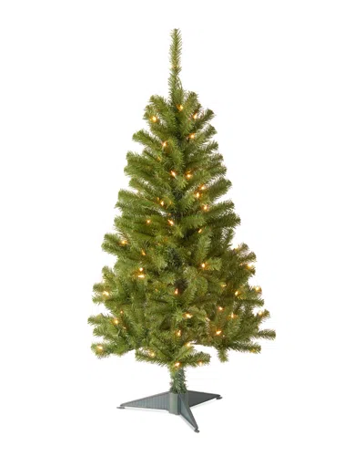 National Tree Company 4' Canadian Fir Grande Wrapped Tree With 100 Clear Lights In Green