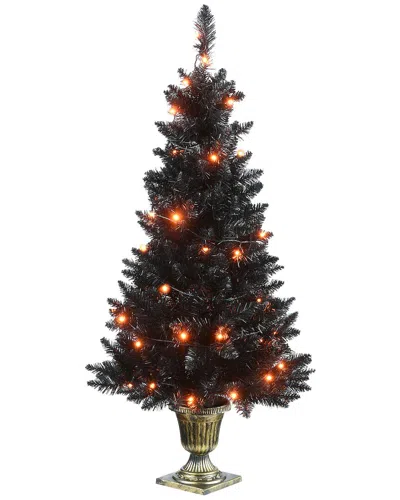 National Tree Company 4 Ft. Black Entrance Tree With String Of Orange Li