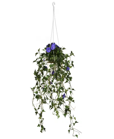 National Tree Company 44 Hanging Morning Glory Plant In Green