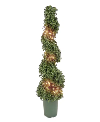 National Tree Company 44 Pre-lit Artificial Boxwood Spiral Topiary In Green